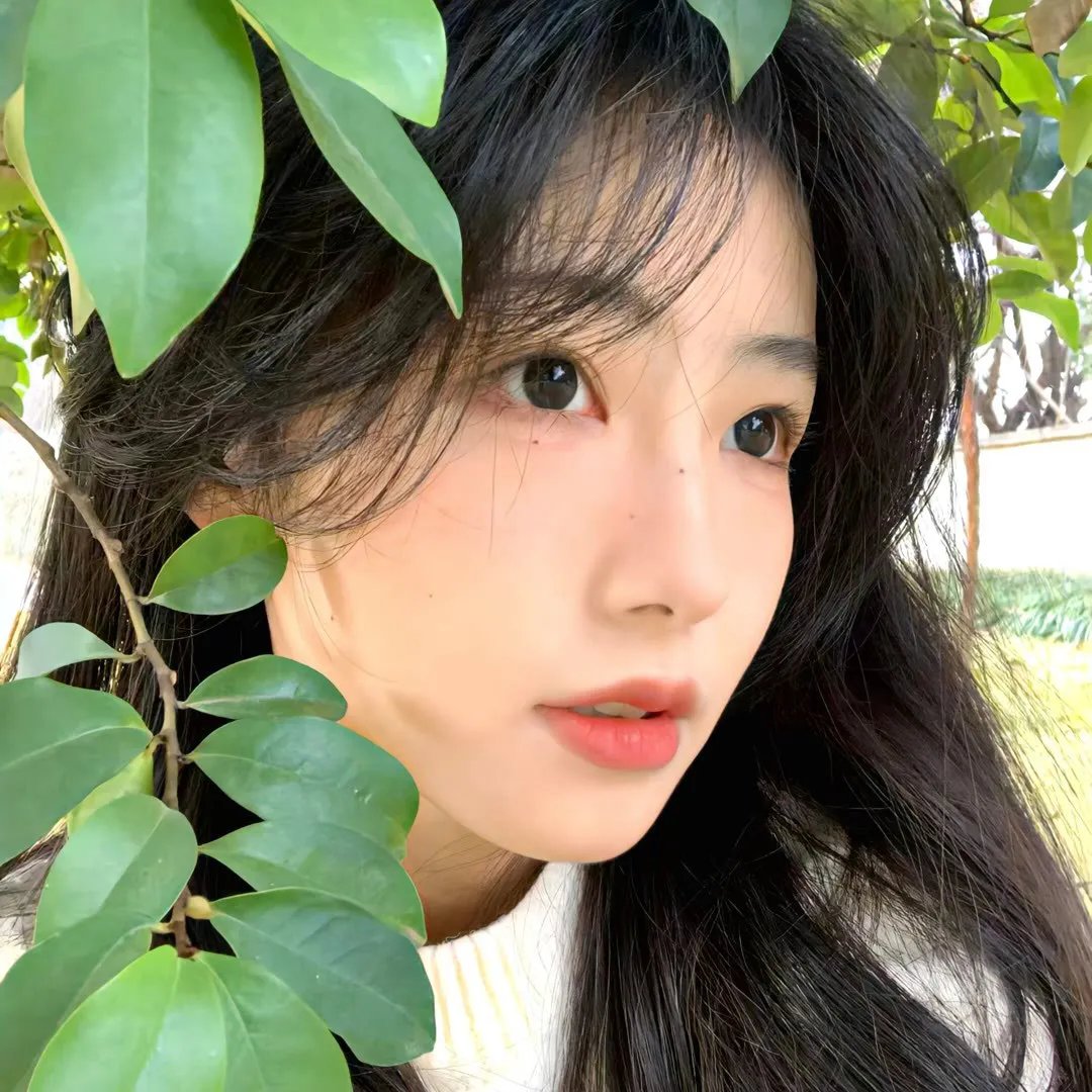 无限纯白的你