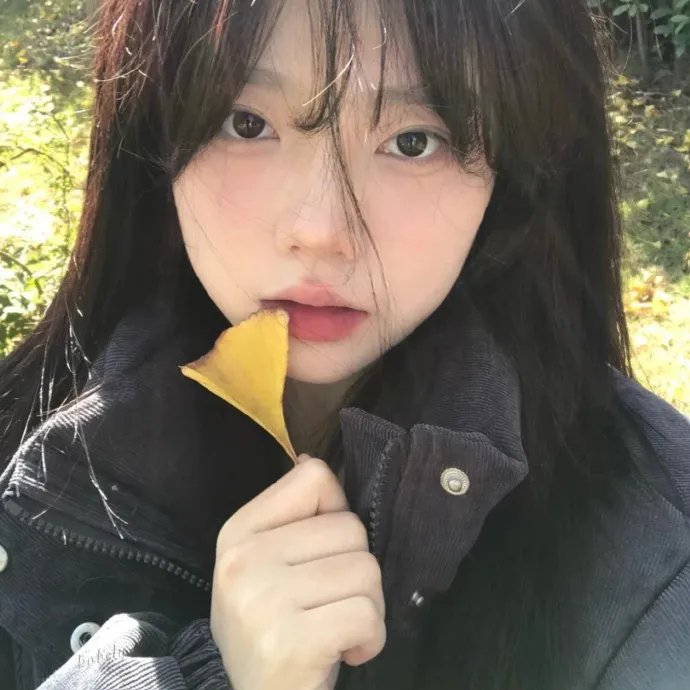 为父寻仇