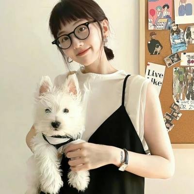 我是只小小鸟